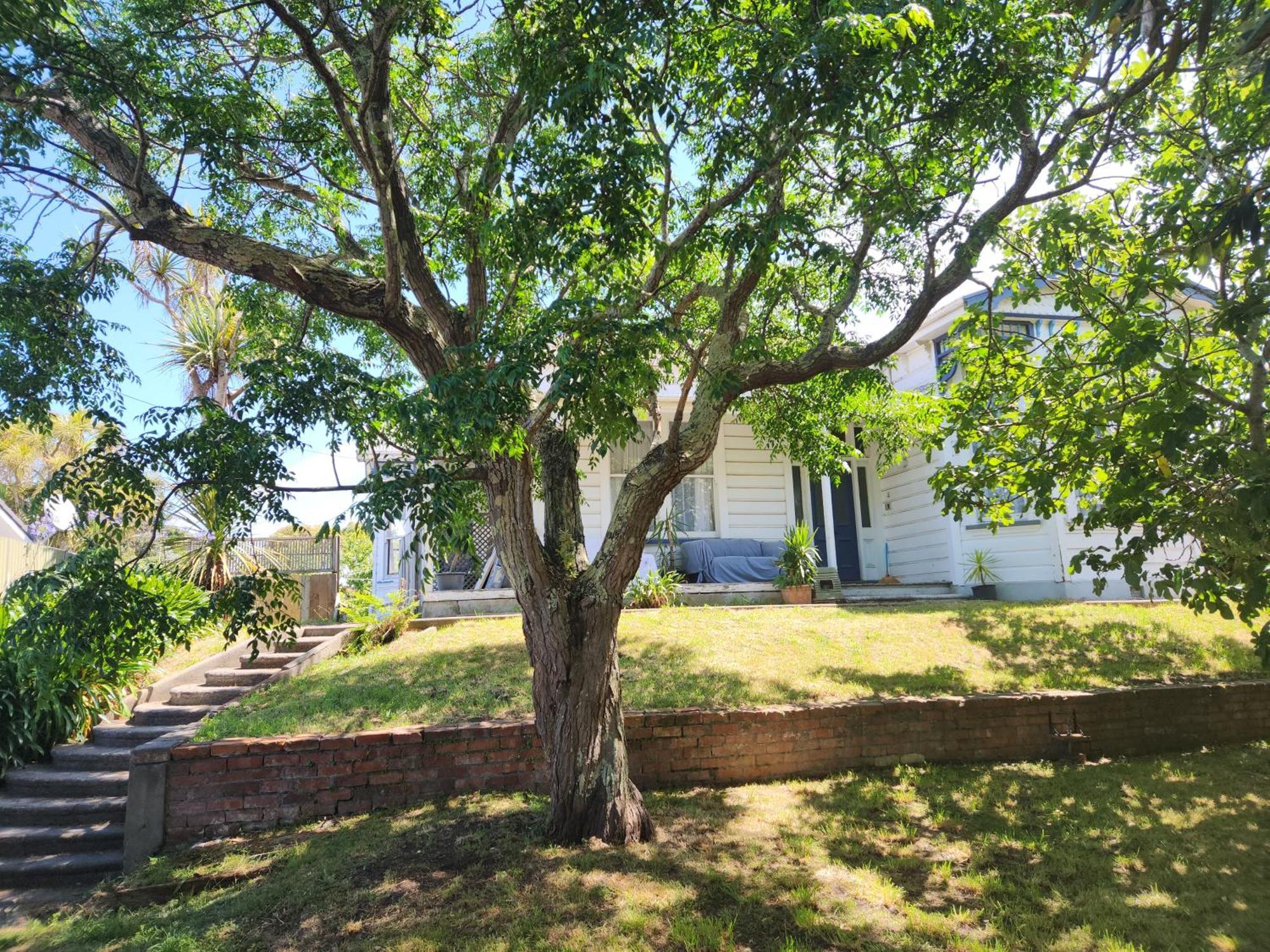 Quirky Villa Homestay Whanganui Exterior foto